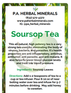 Soursop Tea